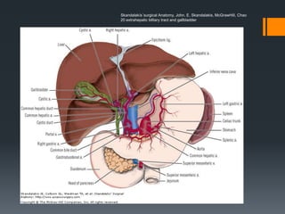 Skandalakís´surgical Anatomy, John. E. Skandalakis, McGrawHill, Chao
20 extrahepatic billiary tract and gallbladder
 