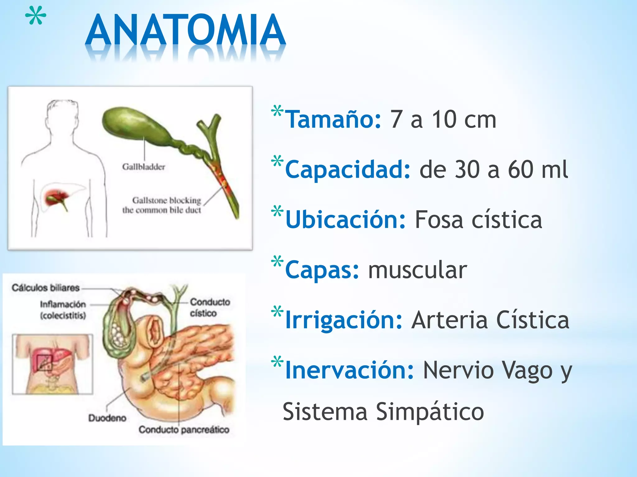 * ANATOMIA
*Tamaño: 7 a 10 cm
*Capacidad: de 30 a 60 ml
*Ubicación: Fosa cística
*Capas: muscular
*Irrigación: Arteria Cística
*Inervación: Nervio Vago y
Sistema Simpático
 