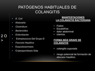 PATÓGENOS HABITUALES DE
COLANGITIS
• E. Coli
• Klebsiella
• Clostridium
• Bacteroides
• Enterobacter
• Estreptococos Del Grupo D
• Fasciola Hepática
• Esquistosomiasis
• Criptosporidiosis Sida
2 O
>
MANIFESTACIONES
LA COLANGITIS BACTERIANA
• Fiebre
• Escalofríos
• dolor abdominal
• ictericia.
FORMA MÁS GRAVE DE
COLANGITIS
• colangitis supurada
• riesgo potencial de formación de
absceso hepático.
 