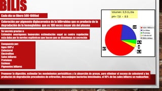 Compuesta por:
Agua (80%)
Colesterol
Electrolitos
Sales biliares
Proteínas
Enzimas
Pigmentos biliares
Promover la digestión, estimular los movimientos peristálticos y la absorción de grasas, para eliminar el exceso de colesterol y los
productos de degradación procedentes de eritrocitos, desconjugan bacterias intestinales, el 95% de las sales biliares se reabsorben
Coloración por pigmento diglucoronico de la bilirrubina que es producto de la
degradación de la hemoglobina que es 100 veces mayor ala del plasma
Se secreta gracias a:
Estímulos neurógenos humorales estimulación vagal su contra regulación
esta daba por lo nervios esplénicos que hacen que se disminuya su secreción
Cada día se libera 500-1000ml
BILIS
 