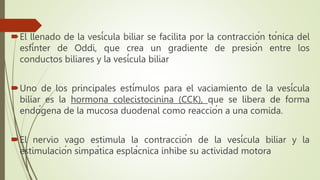 El llenado de la vesícula biliar se facilita por la contracción tónica del
esfínter de Oddi, que crea un gradiente de presión entre los
conductos biliares y la vesícula biliar
Uno de los principales estímulos para el vaciamiento de la vesícula
biliar es la hormona colecistocinina (CCK), que se libera de forma
endógena de la mucosa duodenal como reacción a una comida.
El nervio vago estimula la contracción de la vesícula biliar y la
estimulación simpática esplácnica inhibe su actividad motora
 