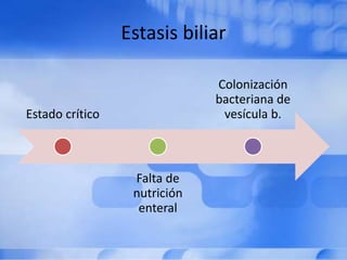 Estasis biliar
Estado crítico
Falta de
nutrición
enteral
Colonización
bacteriana de
vesícula b.
 