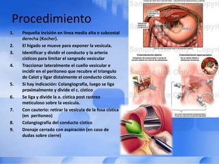 Procedimiento
1. Pequeña incisión en línea media alta o subcostal
derecha (Kocher).
2. El hígado se mueve para exponer la vesícula.
3. Identificar y dividir el conducto y la arteria
císticos para limitar el sangrado vesicular
4. Traccionar lateralmente el cuello vesicular e
incidir en el peritoneo que recubre el triangulo
de Calot y ligar distalmente el conducto cístico.
5. Si hay indicación: Colangiografía, luego se liga
proximalmente y divide el c. cístico
6. Se liga y divide la a. cística post rastreo
meticuloso sobre la vesícula.
7. Con cauterio: retirar la vesícula de la fosa cística
(en peritoneo)
8. Colangiografía del conducto cístico
9. Drenaje cerrado con aspiración (en caso de
dudas sobre cierre)
 