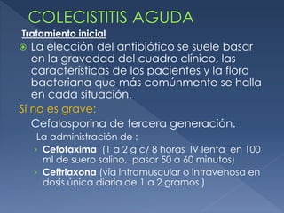  La elección del antibiótico se suele basar
en la gravedad del cuadro clínico, las
características de los pacientes y la flora
bacteriana que más comúnmente se halla
en cada situación.
Si no es grave:
Cefalosporina de tercera generación.
La administración de :
› Cefotaxima (1 a 2 g c/ 8 horas IV lenta en 100
ml de suero salino, pasar 50 a 60 minutos)
› Ceftriaxona (vía intramuscular o intravenosa en
dosis única diaria de 1 a 2 gramos )
Tratamiento inicial
 