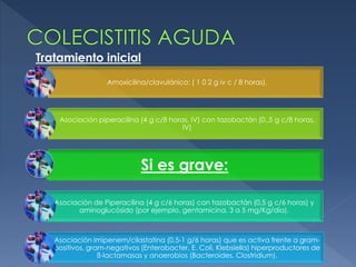 Amoxicilina/clavulánico: ( 1 0 2 g iv c / 8 horas).
Asociación piperacilina (4 g c/8 horas, IV) con tazobactán (0.,5 g c/8 horas,
IV)
Si es grave:
Asociación de Piperacilina (4 g c/6 horas) con tazobactán (0,5 g c/6 horas) y
aminoglucósido (por ejemplo, gentamicina, 3 a 5 mg/Kg/día).
Asociación Imipenem/cilastatina (0,5-1 g/6 horas) que es activa frente a gram-
positivos, gram-negativos (Enterobacter, E. Coli, Klebsiella) hiperproductores de
ß-lactamasas y anaerobios (Bacteroides, Clostridium).
Tratamiento inicial
 