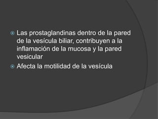  Las prostaglandinas dentro de la pared
de la vesícula biliar, contribuyen a la
inflamación de la mucosa y la pared
vesicular
 Afecta la motilidad de la vesícula
 