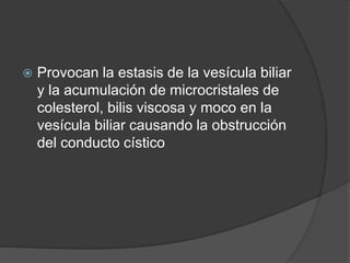  Provocan la estasis de la vesícula biliar
y la acumulación de microcristales de
colesterol, bilis viscosa y moco en la
vesícula biliar causando la obstrucción
del conducto cístico
 