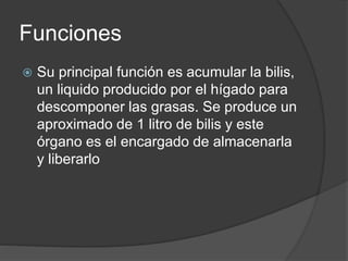 Funciones
 Su principal función es acumular la bilis,
un liquido producido por el hígado para
descomponer las grasas. Se produce un
aproximado de 1 litro de bilis y este
órgano es el encargado de almacenarla
y liberarlo
 