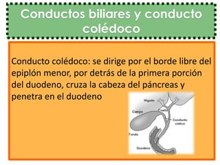 Colecistitis aguda internado cirugia | PPTX