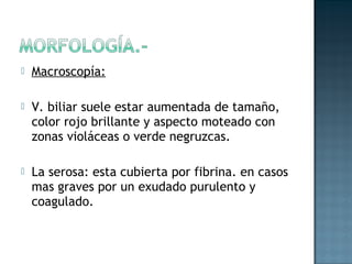    Macroscopía:

   V. biliar suele estar aumentada de tamaño,
    color rojo brillante y aspecto moteado con
    zonas violáceas o verde negruzcas.

   La serosa: esta cubierta por fibrina. en casos
    mas graves por un exudado purulento y
    coagulado.
 