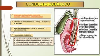 Colecistitis_Colangitis.pptx