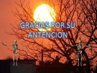 Colecistografía oral 2