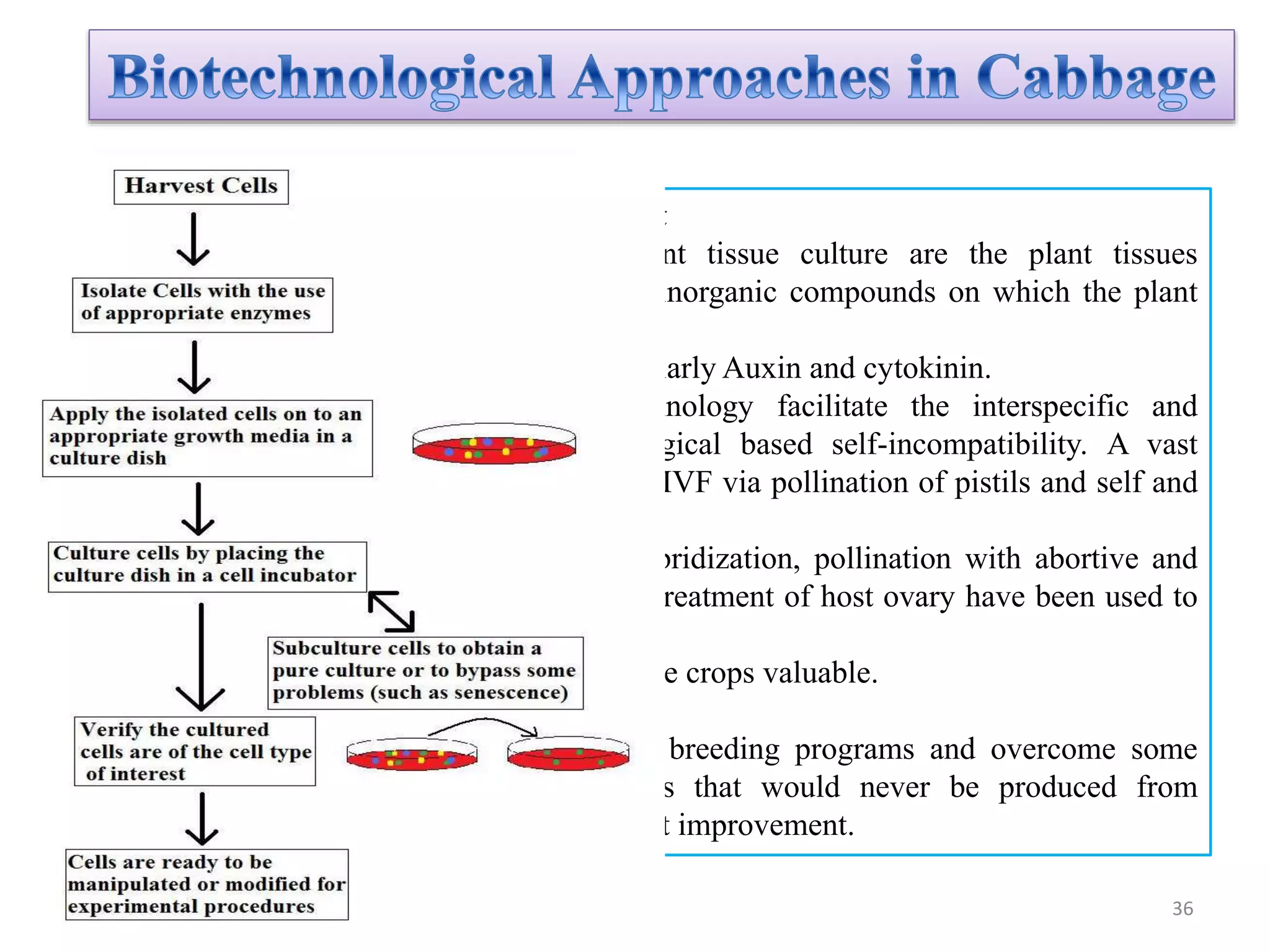 1. Plant tissue culture in crop improvement
 The things required for the plant tissue culture are the plant tissues
(explants), medium containing organic and inorganic compounds on which the plant
could grow and develop.
A high amount of growth hormones particularly Auxin and cytokinin.
Crops used to produce from this technology facilitate the interspecific and
intergeneric crosses to overcome physiological based self-incompatibility. A vast
variety of crops has been recovered through IVF via pollination of pistils and self and
cross pollination of ovules.
the use of delayed pollination, distant hybridization, pollination with abortive and
irradiated pollen and physical and chemical treatment of host ovary have been used to
implied haploidy.
Embryo culture is another kind used to make crops valuable.
These technologies could easily simplify breeding programs and overcome some
important economical and agronomic traits that would never be produced from
conventional ways of plant breeding and plant improvement.
36
 