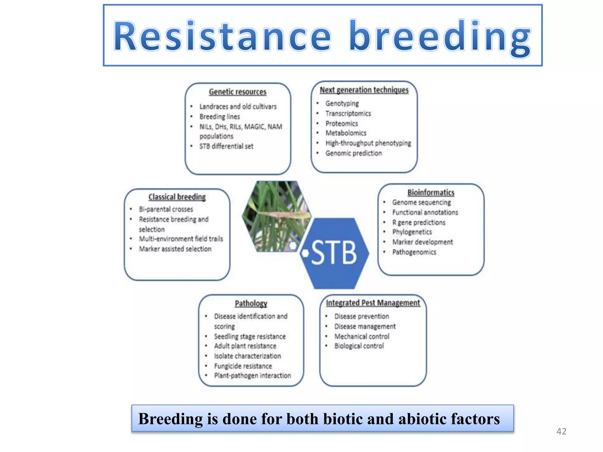 Breeding is done for both biotic and abiotic factors
42
 