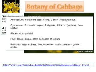The inflorescence
may attend the
length of 1-2 m.
 The slender
pedicels are 1.5-
2cm long.
https://archive.org/stream/breedingplantsof532pear/breedingplantsof532pear_djvu.txt
14
 