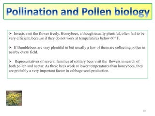  Insects visit the flower freely. Honeybees, although usually plentiful, often fail to be
very efficient, because if they do not work at temperatures below 60° F.
 If Bumblebees are very plentiful in but usually a few of them are collecting pollen in
nearby every field.
 Representatives of several families of solitary bees visit the flowers in search of
both pollen and nectar. As these bees work at lower temperatures than honeybees, they
are probably a very important factor in cabbage seed production.
18
 