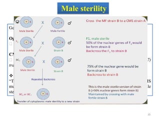 Male sterility
Genic male sterility has been reported in cabbage (Rundfeldt 1960).
Ogura CMS system (Intergeneric crosses)
Ogura male sterilitywas reported in Japanese radish, (Ogura 1968)
CMS induced by interspecific cross
B. oleracea with rutabaga – B. napobrassica (Chiang, Crete 1985, 1987)
transfer resistance against Plasmodiophora brassicae.
 EGMS is more popularly termed as “Two line Hybrid Breeding” as against
“Three Line Hybrid Breeding” in case of CMS system. In Cabbage the TGMS
mutant is activated at temperature <10o C, Which makes the parent male
sterile. (Rundfeldt, 1961).
20
 
