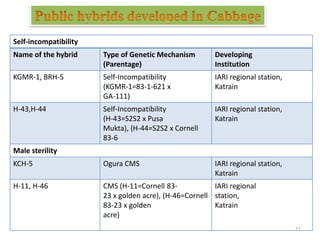 Self-incompatibility
Name of the hybrid Type of Genetic Mechanism
(Parentage)
Developing
Institution
KGMR-1, BRH-5 Self-Incompatibility
(KGMR-1=83-1-621 x
GA-111)
IARI regional station,
Katrain
H-43,H-44 Self-Incompatibility
(H-43=S2S2 x Pusa
Mukta), (H-44=S2S2 x Cornell
83-6
IARI regional station,
Katrain
Male sterility
KCH-5 Ogura CMS IARI regional station,
Katrain
H-11, H-46 CMS (H-11=Cornell 83-
23 x golden acre), (H-46=Cornell
83-23 x golden
acre)
IARI regional
station,
Katrain
21
 