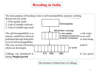 The main purpose of breeding is due to self-incompatibility and poor yielding.
Reason for low yield:
1. Poor quality seeds
2. Lack of suitable cultivars for mild winter.
3. Lack of suitable agro techniques.
The self-incompatibility is used to produce hybrid seeds in cabbage and other cole crops,
namely, cauliflower, broccoli, Brussels sprouts, and kale. The individual plants are self-
pollinated through bud-pollination. Selection is applied for desirable characters and strong
level of self-incompatibility.
This way several self-incompatible, but cross-compatible inbreds having different S-
alleles are developed .
Cabbage was introduced much earlier than cauliflower by Portuguese. It was grown
during Mughal period
Breeding in India
Develoment of inbred lines in Cabbage
27
 