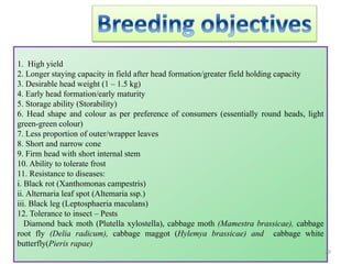 1. High yield
2. Longer staying capacity in field after head formation/greater field holding capacity
3. Desirable head weight (1 – 1.5 kg)
4. Early head formation/early maturity
5. Storage ability (Storability)
6. Head shape and colour as per preference of consumers (essentially round heads, light
green-green colour)
7. Less proportion of outer/wrapper leaves
8. Short and narrow cone
9. Firm head with short internal stem
10. Ability to tolerate frost
11. Resistance to diseases:
i. Black rot (Xanthomonas campestris)
ii. Alternaria leaf spot (Altemaria ssp.)
iii. Black leg (Leptosphaeria maculans)
12. Tolerance to insect – Pests
Diamond back moth (Plutella xylostella), cabbage moth (Mamestra brassicae), cabbage
root fly (Delia radicum), cabbage maggot (Hylemya brassicae) and cabbage white
butterfly(Pieris rapae)
29
 