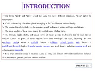  The terms "cold" and "cole" sound the same but have different meanings. "Cold" refers to
temperature.
 "Cole" refers to any of various plants belonging to the Cruciferae or mustard family.
 The mustard family includes cool season crops such as Brussels sprout, cabbage, cauliflower.
 The close kinship of these crops enable diversified usage of plant parts.
 The flowers, seeds, stalks, and tender leaves of many species of Brassica can be eaten raw or
cooked. Almost all parts of some species have been developed for food, including the root
(rutabaga, turnip), stems - kohlrabi, leaves - cabbage, collard greens, kale, flowers -
cauliflower, broccoli, buds - Brussels sprouts, cabbage, and seeds (many, including mustard seed, and
oil-producing rapeseed).
 Cole crops are rich source of vitamins A and C. They also contain appreciable amount of minerals
like phosphorus, potash, calcium, sodium and iron.
Dhaliwal, 2017
3
 