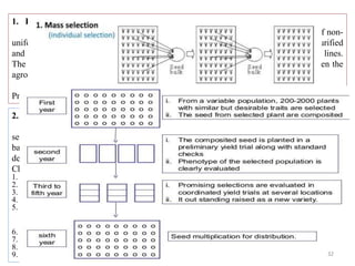 1. Introduction
Introduced materials may be valuable in selecting desirable plants. In case of non-
uniform introductions the desirable plants can be selected, their progeny increased, purified
and later tested against the standard or local varieties for selecting the most promising lines.
The chances of an introduction depends to a great extent upon the relationship between the
agro climates, particularly temperature and day length of the donor and receptor areas.
Promising in India – Golden Acre, August, Copenhagen Market.
2. Mass selection:
In this method the best individual plants are selected in the population and their
seeds are composited for following generation. Since the mass selection is made exclusively
based on the phenotype of the plants without any progeny testing, the success of selection
depends upon the heritability of the characters under selection.
Characters which can be improved are
1. Maturity: days to 50 per cent heading (earliness)
2. Stalk length
3. Number of non wrapper leaves
4. Frame or plant spread
5. Shape of head – polar and equatorial diameter. Normal or spherical head: 0.8- 1.0 shape index(SI).
Drum head ;
SI < 0.5, conical head SI > 1.0
6. Compactness of head – associated with short sized core
7. Net weight of head < 750 g
8. Number of marketable heads
9. Yield 32
 
