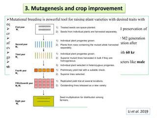 Mutational breeding is powerful tool for raising plant varieties with desired traits with
equally beneficial to food crop as well horticulture.
Induced mutations can play an important role in the conservation and preservation of
crop biodiversity.
In this approach, mutants with desired traits were selected in the M1 or M2 generation
after treatment with mutagens and then released as new variety for cultivation after
evaluation and trials.
Mutant 19P-2 of variety Kjure17 was induced by irradiating seeds with 60 kr
gamma rays was semi sterile.
 Mutation breeding is resorted to eliminate defects and to induce characters like male
sterility.
Non-heading mutant fg-1
Li et al. 201939
 