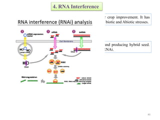 4. RNA Interference
RNA interference is an emerging tool in biotechnology for crop improvement. It has
been widely used for increasing crop yield, resistance against biotic and Abiotic stresses.
5. RNAi for Male Sterility
RNAi has also been used for generating sterility in seeds and producing hybrid seed.
Genes that involved in pollen production can be targeted by RNAi.
40
 
