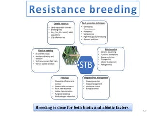 Breeding is done for both biotic and abiotic factors
42
 
