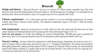 Who Invented Broccoli cole crops in india - cabbage, cauliflower.pptx