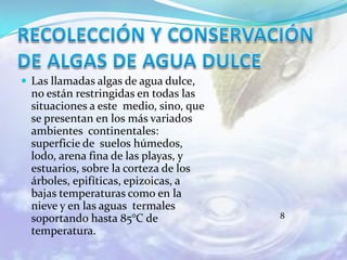  Las llamadas algas de agua dulce,
  no están restringidas en todas las
  situaciones a este medio, sino, que
  se presentan en los más variados
  ambientes continentales:
  superficie de suelos húmedos,
  lodo, arena fina de las playas, y
  estuarios, sobre la corteza de los
  árboles, epifíticas, epizoicas, a
  bajas temperaturas como en la
  nieve y en las aguas termales
  soportando hasta 85°C de              8
  temperatura.
 