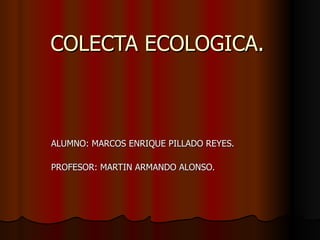 COLECTA ECOLOGICA. ALUMNO: MARCOS ENRIQUE PILLADO REYES. PROFESOR: MARTIN ARMANDO ALONSO. 