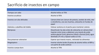 Colecta y preservación de insectos.pptx