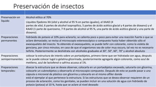 Colecta y preservación de insectos.pptx