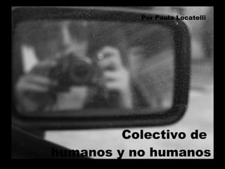 Colectivo de  humanos y no humanos Por Paula Locatelli 
