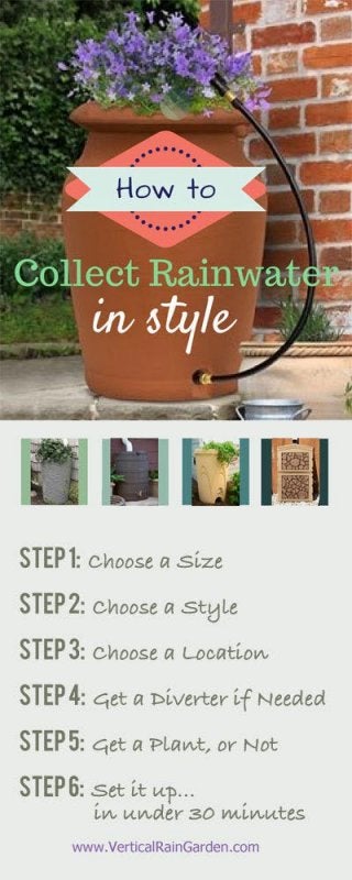 collect-rain-water
