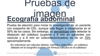 Pruebas de
imagenEcografía abdominal
Prueba de elección para iniciar la investigación de un paciente
con sospecha de CDL, aunque sólo llegan a visualizarse en el
50% de los casos. Sin embargo, su sensibilidad para detectar la
dilatación del colédoco (superior a 6 mm en pacientes con
vesícula y a 8 mm en colecistectomizados) es de un 75%
aproximadamente.
-En individuos con cálculos biliares, ictericia y dolor biliar, un colédoco
dilatado en la ecografía sugiere con firmeza cálculos en el colédoco-
Pickhardt, P. and Arluk, G. (n.d.). Atlas de Imágenes en Gastroenterología. 1st ed. Montoro Huguet, M. and García Pagán, J. (2012). Gastroenterología y hepatología. 1st ed.
Madrid: Jarpyo.Montoro Huguet, M. and García Pagán, J. (2012).
 