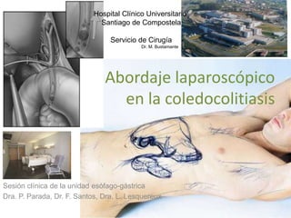 Sesión clínica de la unidad esófago-gástrica
Dra. P. Parada, Dr. F. Santos, Dra. L. Lesquereux
Abordaje laparoscópico
en l...