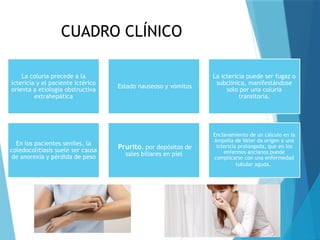 La coluria precede a la
ictericia y el paciente ictérico
orienta a etiología obstructiva
extrahepática
Estado nauseoso y vómitos
La ictericia puede ser fugaz o
subclínica, manifestándose
solo por una coluria
transitoria.
En los pacientes seniles, la
coledocolitiasis suele ser causa
de anorexia y pérdida de peso
Prurito, por depósitos de
sales biliares en piel
Enclavamiento de un cálculo en la
Ampolla de Vater da origen a una
ictericia prolongada, que en los
enfermos ancianos puede
complicarse con una enfermedad
tubular aguda.
CUADRO CLÍNICO
 