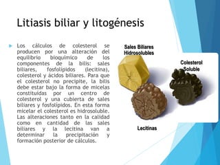 Litiasis biliar y litogénesis
 Los cálculos de colesterol se
producen por una alteración del
equilibrio bioquímico de los
componentes de la bilis: sales
biliares, fosfolípidos (lecitina),
colesterol y ácidos biliares. Para que
el colesterol no precipite, la bilis
debe estar bajo la forma de micelas
constituídas por un centro de
colesterol y una cubierta de sales
biliares y fosfolípidos. En esta forma
micelar el colesterol es hidrosoluble.
Las alteraciones tanto en la calidad
como en cantidad de las sales
biliares y la lecitina van a
determinar la precipitación y
formación posterior de cálculos.
Sales Biliares
Hidrosolubles
Colesterol
Soluble
Lecitinas
 