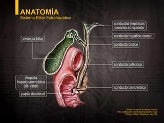 Coledocolitiasis | PPTX