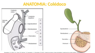 PATOLOGIAS DE VESICULA BILIAR; COLEDOCOLITISASIS | PPTX