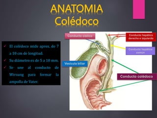 coledocolitiasis original DEL SERVICIO DE CIRUGIA.pptx