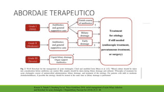 ABORDAJE TERAPEUTICO
Kimura Y, Takada T, Strasberg S et al. Tokyo Guidelines 2018: initial management of acute biliary infection
and flowchart for acute cholangitis. J Hepatobiliary Pancreat Sci (2018) 25:31–40.
 