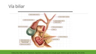 Vía biliar
Orellana Soto, Pablo. (2014). Presentación, diagnóstico y terapéutica de la colangitis aguda. Medicina Legal de Costa Rica, 31(1), 84-93.
 