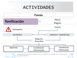 Col·legi Oficial Llicenciats en Educació Física i en Ciències de l’Activitat Física i l’Esport de la
Comunitat Valenciana
Fuerza
ACTIVIDADES
Tonificación
Planos
Ángulos
Isométricos Isotónicos - isodinámicos
Máquinas
Pesos libre
Circuito
Coordinación
intermuscular
Retinopatías
 