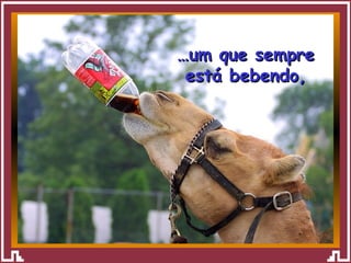 … um que sempre está bebendo, 