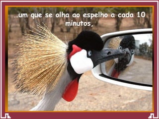 … um que se olha ao espelho a cada 10 minutos, 
