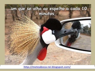 …um que se olha ao espelho a cada 10 minutos,http://meteaboca-rei.blogspot.com/ 