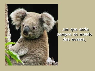 …um que anda sempre no mundo das nuvens,